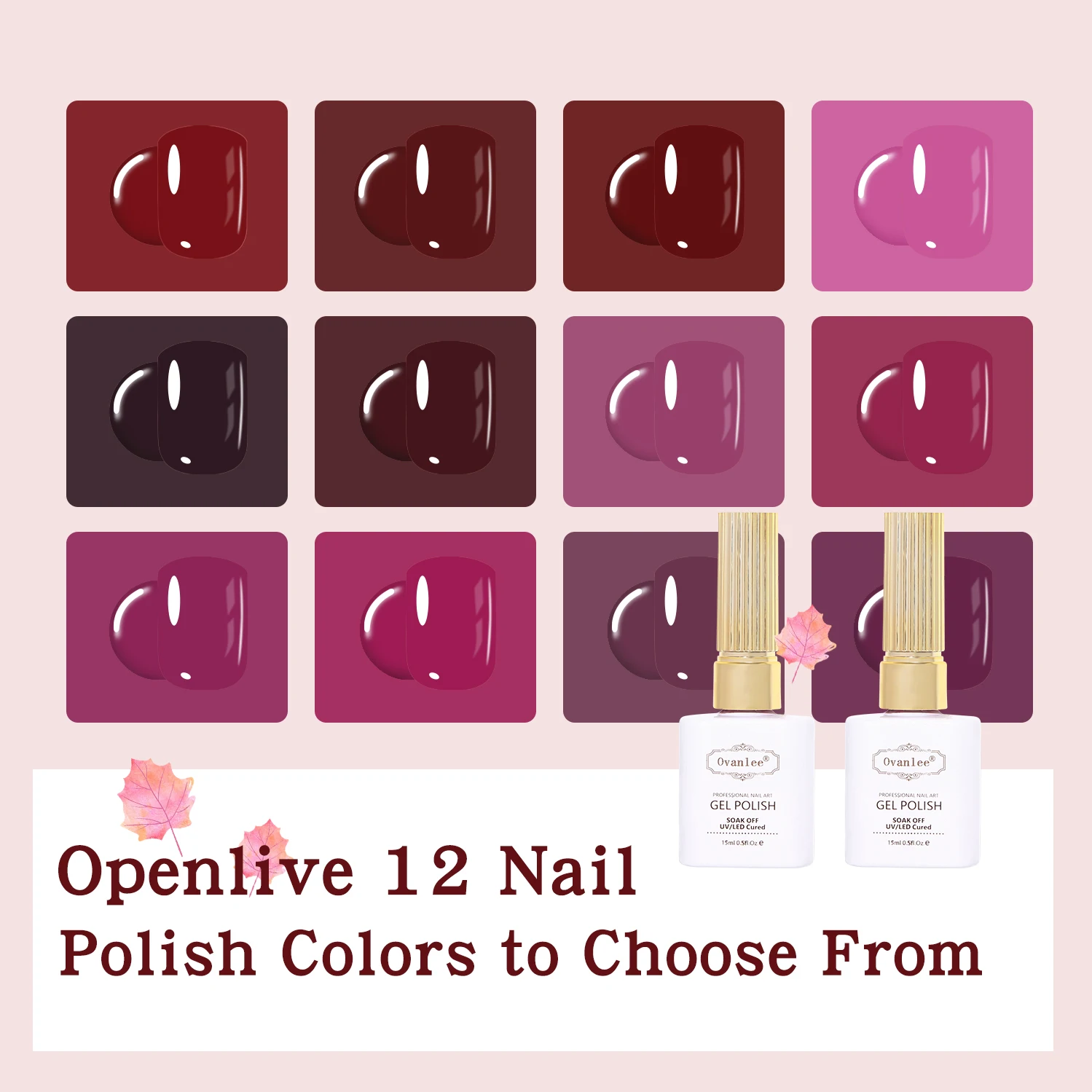 12-Piece Fast-Dry Nail Polish Set - Image 3
